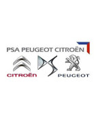 Peugeot / Citroen