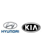 Hyundai / Kia